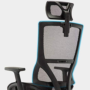 NT1 Chair