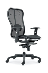 Iron BS Chair